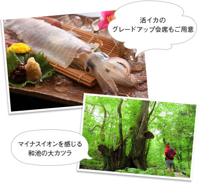 活イカのグレードアップ会席＆たじま高原植物園