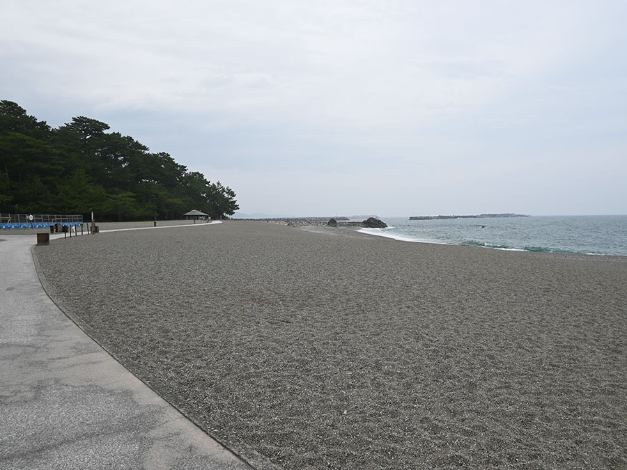 高知県桂浜海岸
