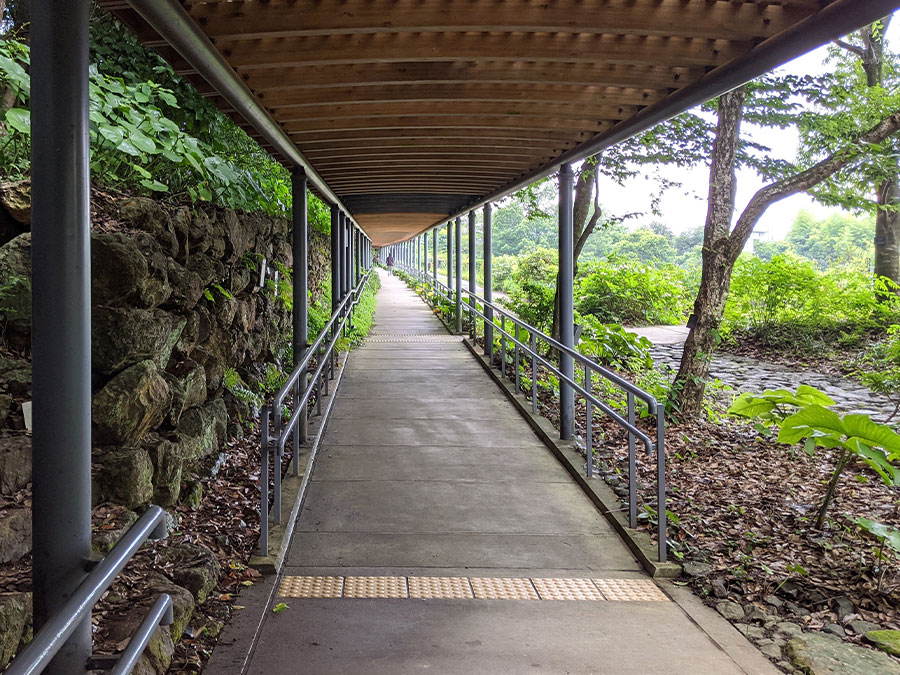 高知県立牧野植物園の回廊