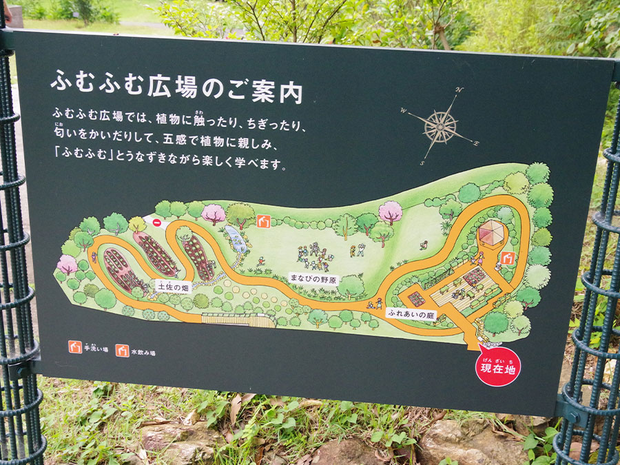 高知県立牧野植物園のふむふむ広場看板