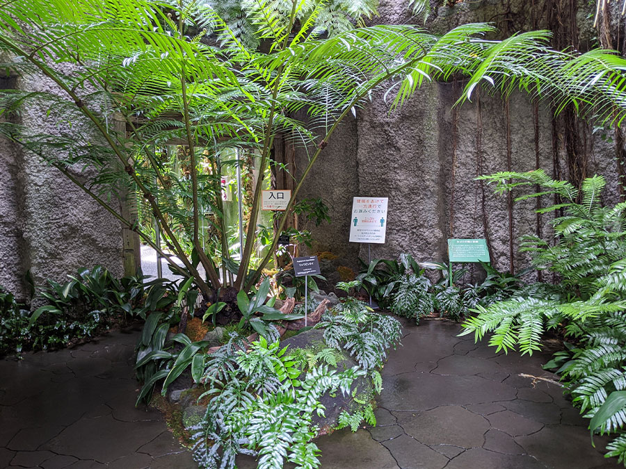 高知県立牧野植物園の温室入口