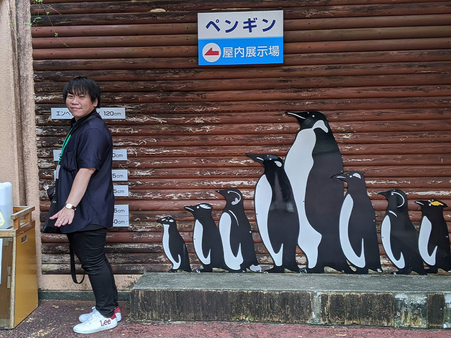 のいち動物公園のペンギン