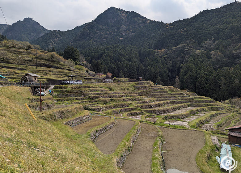 丸山千枚田