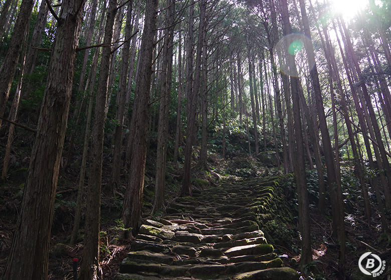 松本峠道・江戸の石畳