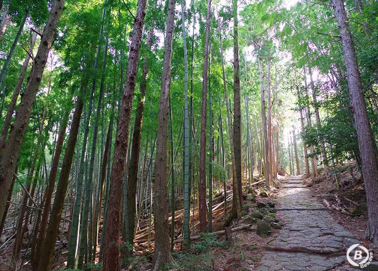 松本峠道