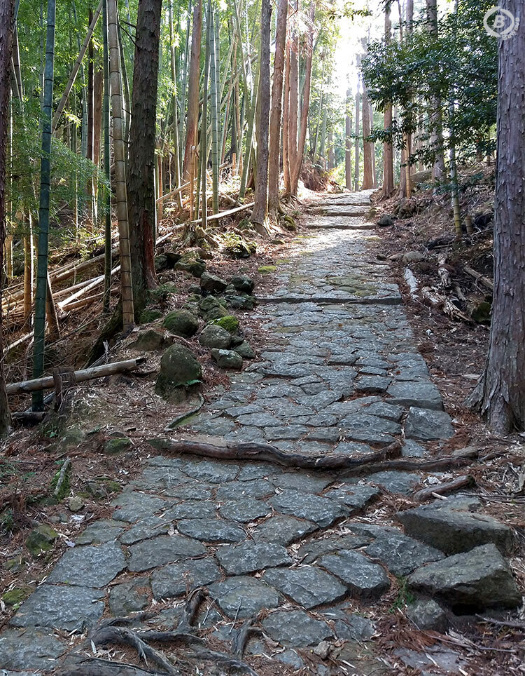 松本峠の石畳