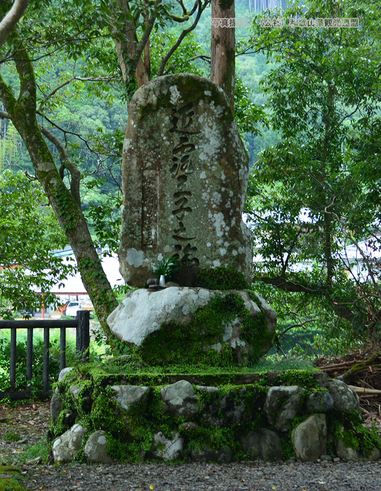 丸山千枚田