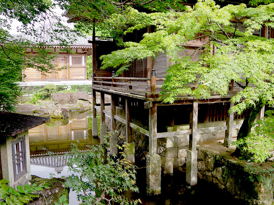 高山寺の池