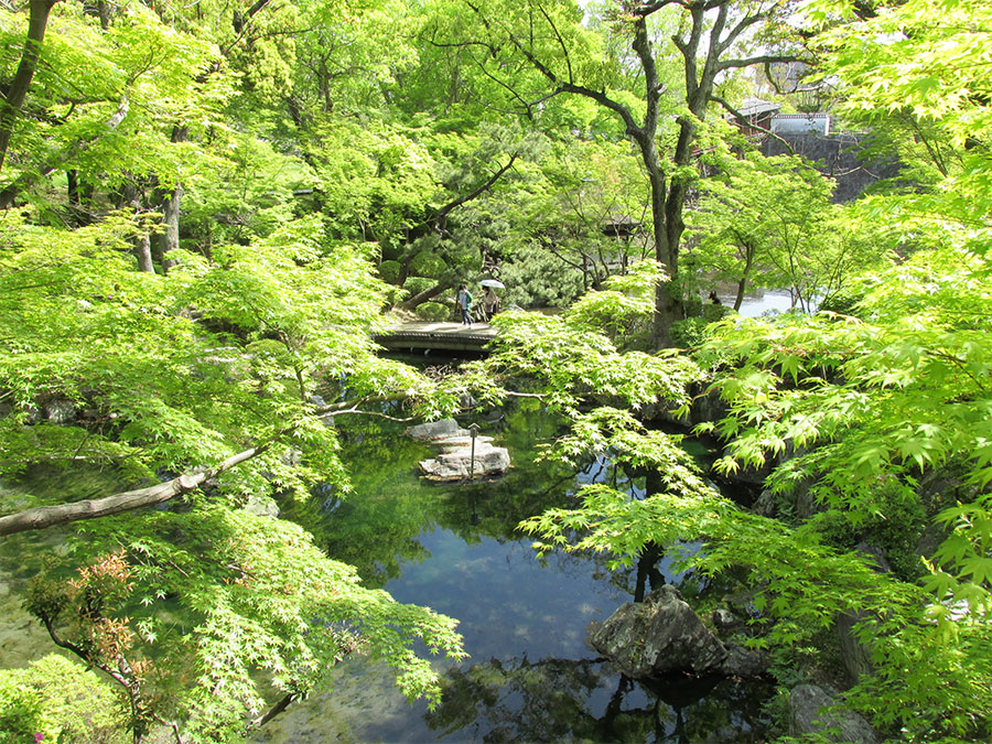 西之丸庭園の風景