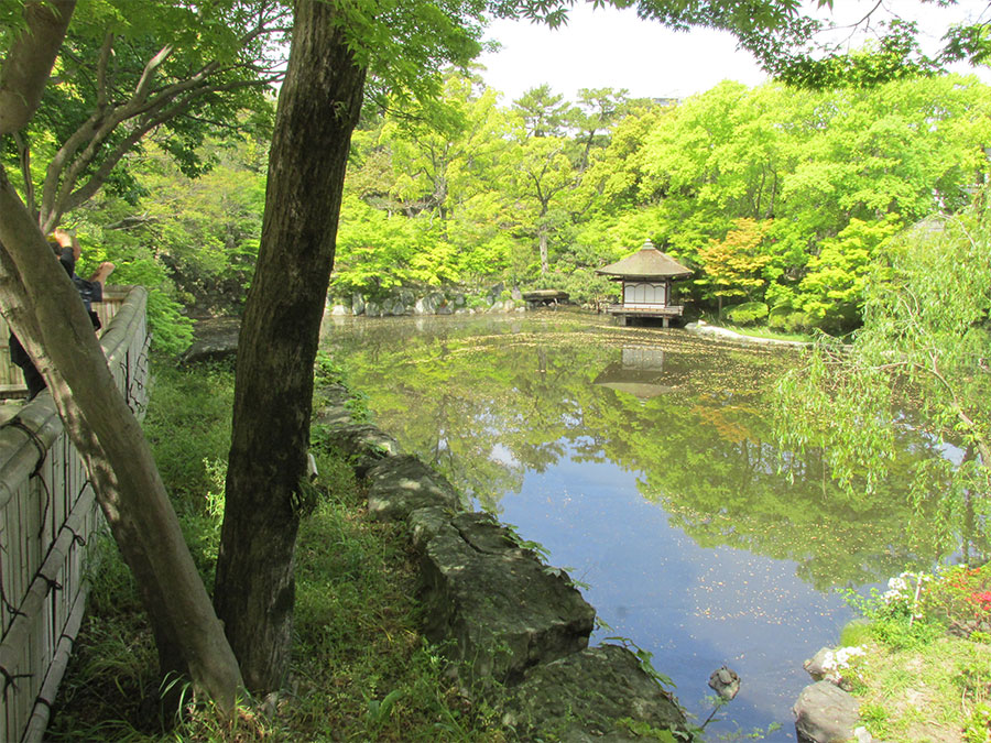 西之丸庭園の池