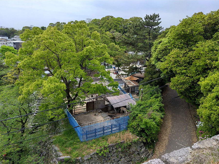 和歌山城公園動物