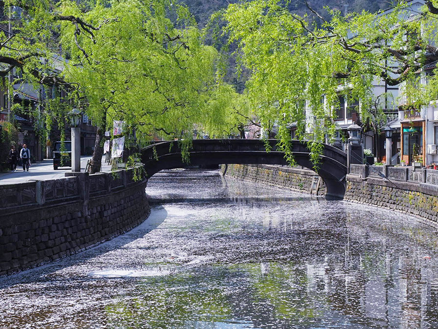 城崎温泉・柳通り