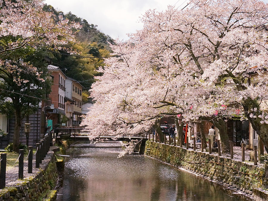 城崎温泉・木屋町通り