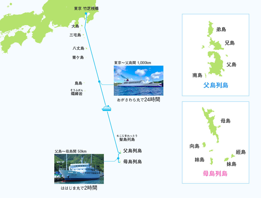 小笠原諸島旅行はフェリーや新幹線、飛行機を利用して東京・大阪・名古屋・東北など日本各地発着の小笠原・父島に宿泊する格安ツアーです。