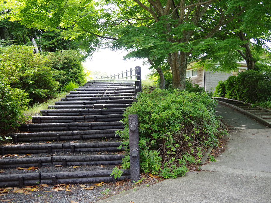 金光寺山への階段