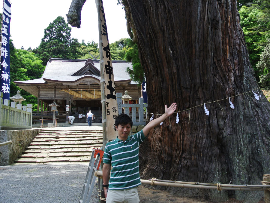 玉若酢神社の八百杉