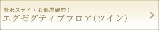 60エグゼグティブフロア(ツイン)