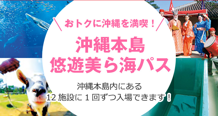 沖縄本島悠遊美ら海パス