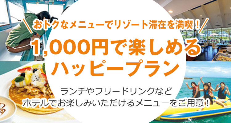 ハッピープラン