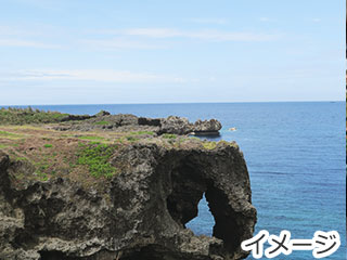 ラド美ら海号（日帰りバスツアー）