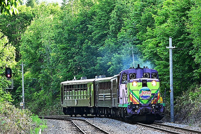 富良野・美瑛ノロッコ号