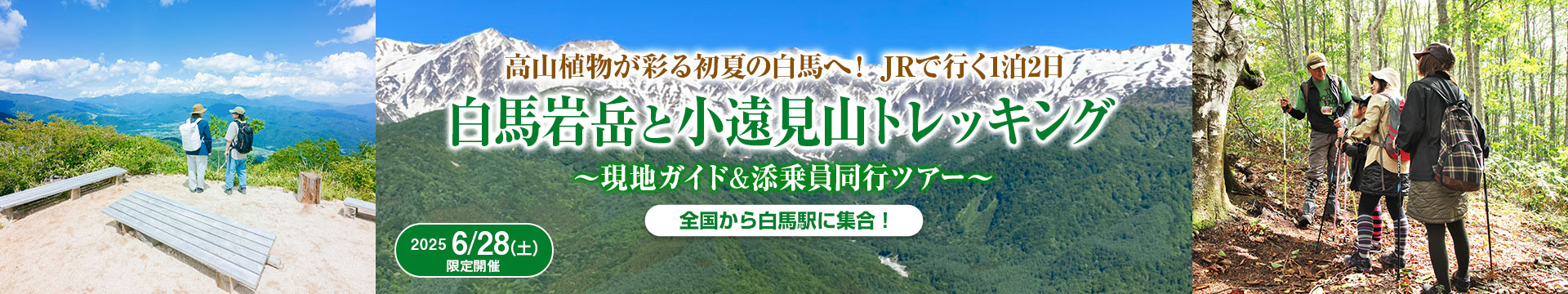 白馬岩岳と小遠見山トレッキングツアー
