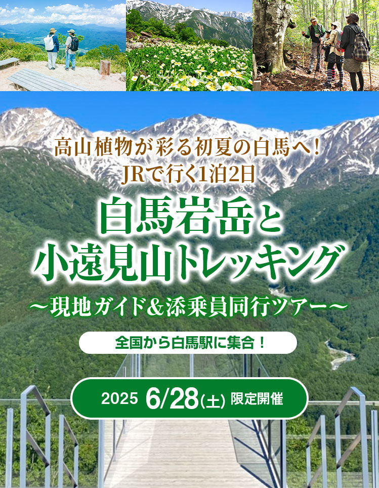 白馬岩岳と小遠見山トレッキングツアー