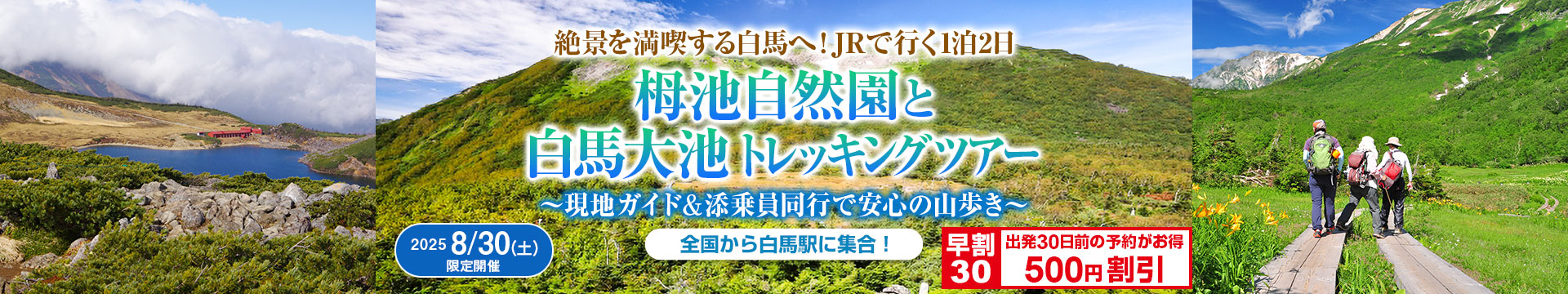 栂池自然園と白馬大池トレッキングツアー