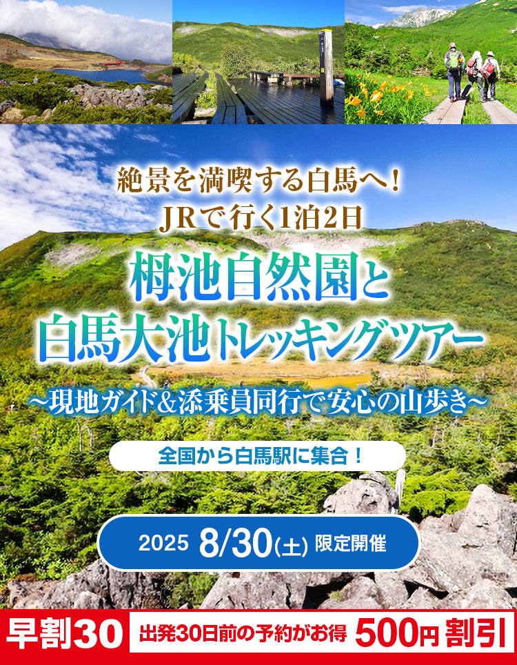 絶景を満喫する白馬へ！栂池自然園と白馬大池トレッキングツアー