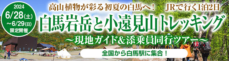 白馬岩岳と小遠見山トレッキングツアー