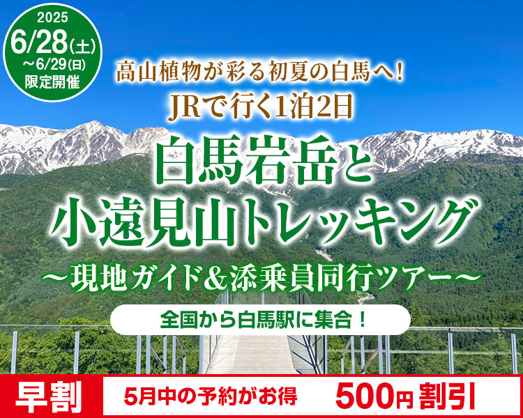 日本の国際山岳リゾートを満喫！白馬岩岳と小遠見山トレッキングツアープラン