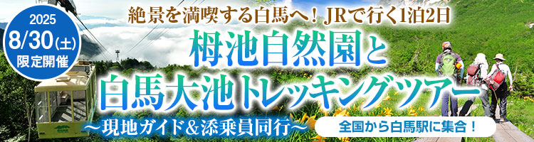栂池自然園と白馬大池トレッキングツアー