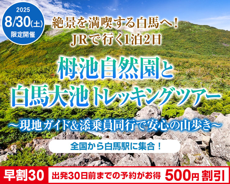 絶景を満喫する白馬へ！栂池自然園と白馬大池トレッキングツアー