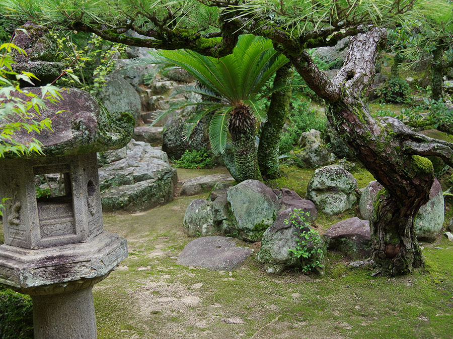 保安寺の庭