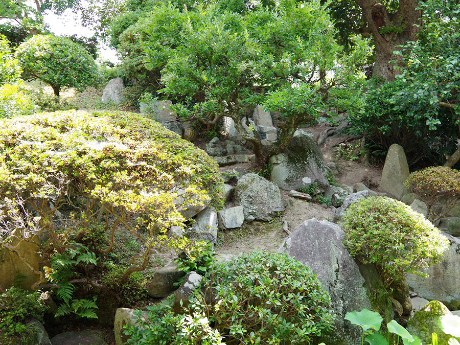 多聞寺の庭