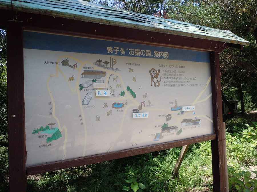 銚子渓お猿の国 案内図