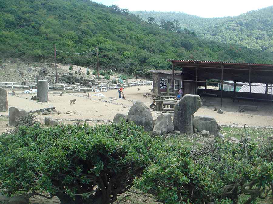 小豆島旅行は観光も海水浴も大人から子どもまで楽しめるスポットが充実。小豆島で遊ぶなら銚子渓お猿の国へ。