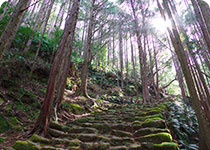 熊野古道