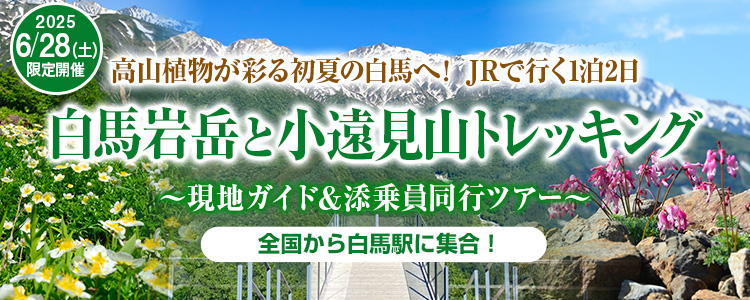 白馬岩岳と小遠見山トレッキングツアー・6月