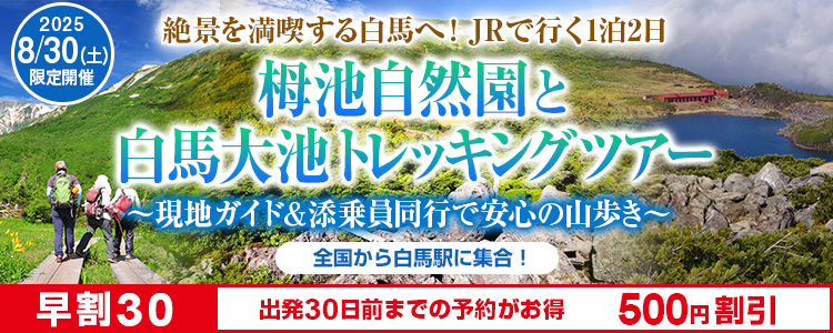 栂池自然園と白馬大池トレッキングツアー