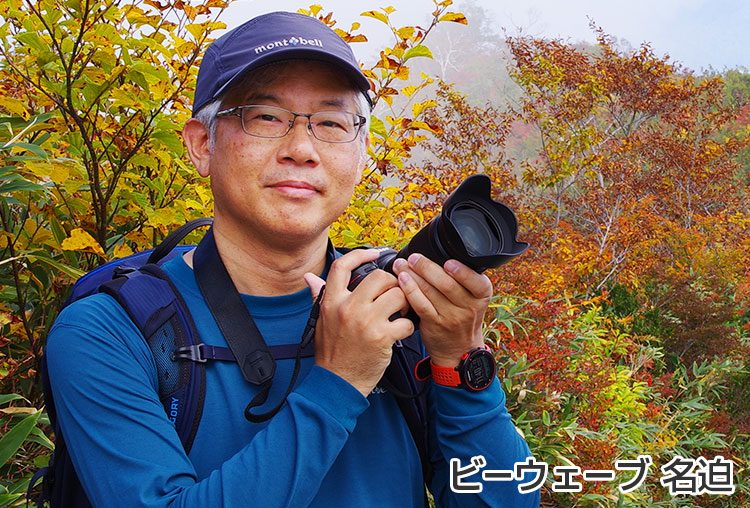 ビーウェーブ名迫