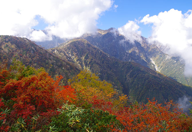 白馬岩岳と小遠見山トレッキング