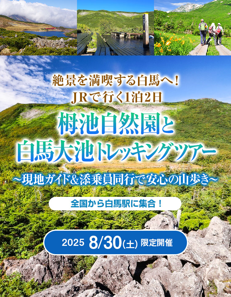 絶景を満喫する白馬へ！栂池自然園と白馬大池トレッキングツアー
