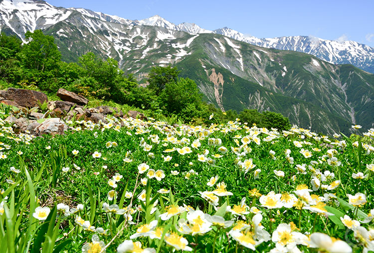 小遠見山トレッキング