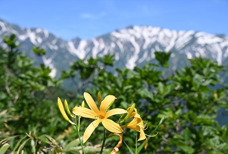 小遠見山トレッキング