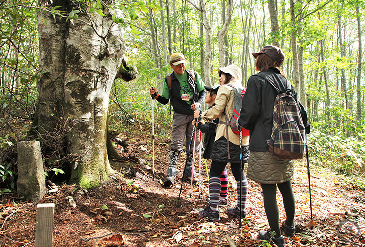 ねずこの森ウォーキングツアー