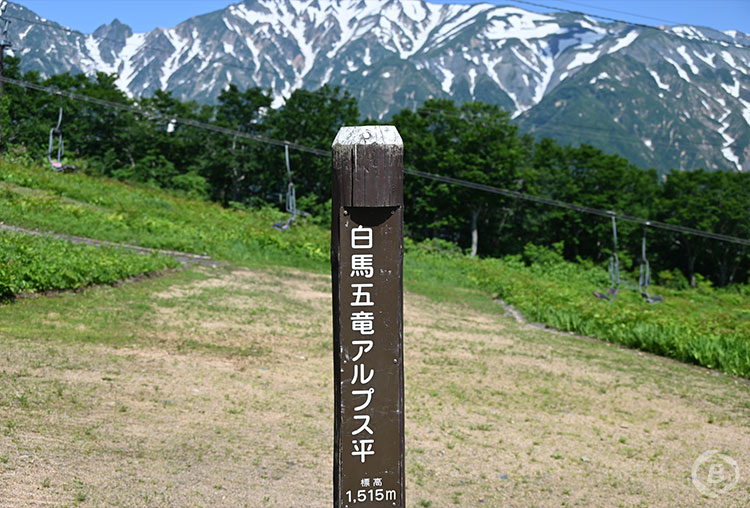 白馬五竜・アルプス平