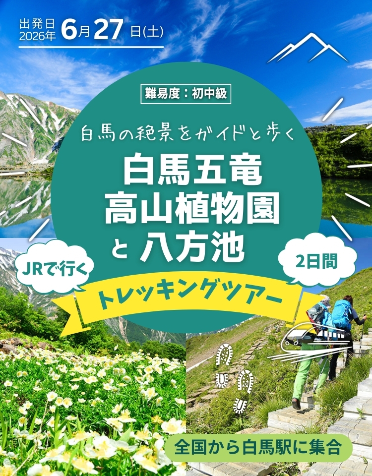 白馬五竜高山植物園と八方池トレッキングツアー