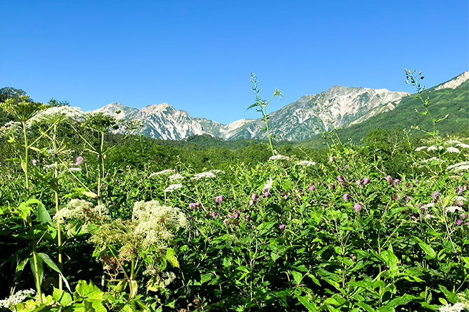白馬大池トレッキング