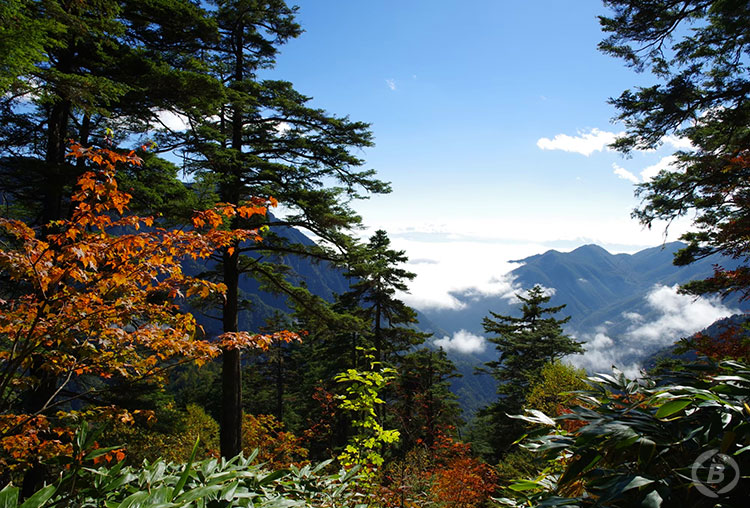 下山